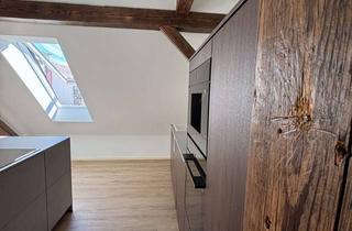 Lofts mieten in Königstraße 43, 76829 Landau, ÜBER DEN DÄCHER VON LANDAU: Dachstudio im Loft-Stil mit Luxus-Einbauküche im Stadtkern