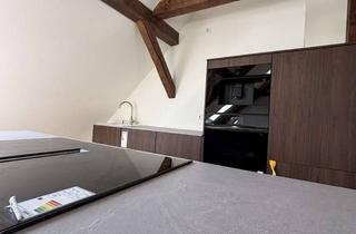 Lofts mieten in Königstraße 43, 76829 Landau, ÜBER DEN DÄCHER VON LANDAU: Dachstudio im Loft-Stil mit Luxus-Einbauküche im Stadtkern