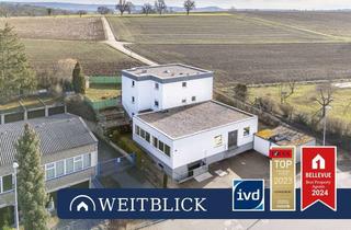 Haus kaufen in 71282 Hemmingen, WEITBLICK: Zweifamilienhaus am Feldrand!