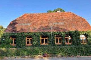 Haus kaufen in Dorfstraße 10, 19073 Dümmer, Historische Häuslerei mit separater Werkstatt in Dümmer