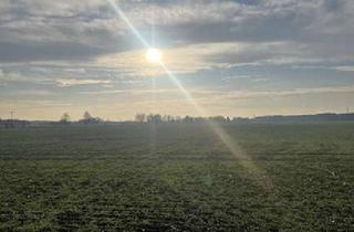 Einfamilienhaus kaufen in 03253 Doberlug-Kirchhain, Einfamilienhaus in Alleinlage