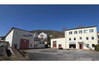 Haus kaufen in 98617 Meiningen, Vier Wohnungen plus Büro, Werkstatt und Garagen