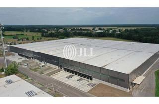 Gewerbeimmobilie mieten in 39291 Möckern, Logistikzentrum an der A2 I zw. MD und Berlin I 46.000 m² Hallen I Teilbar ab 7.200 m²