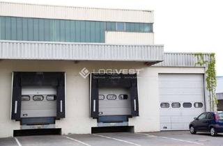 Gewerbeimmobilie mieten in 48565 Steinfurt, WGK-Fähige Lagerhalle in Steinfurt