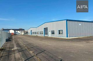 Gewerbeimmobilie mieten in 52511 Geilenkirchen, AllFa – Montage, Produktion, Verteilzentrum! Junge Halle mit vier Toren in Geilenkirchen Niederheid!
