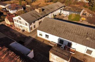 Gewerbeimmobilie kaufen in Rosenhofstraße 53, 67677 Enkenbach-Alsenborn, Hallen- und Mischgebietsfläche in guter Lage mit großem Potenzial für Wohn- und Gewerbeimmobilien