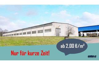 Gewerbeimmobilie mieten in 99817 Stregda, antaris Immobilien GmbH ** Schleppdach mit Kranbahn in Eisenach **