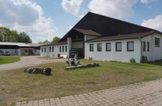 Gewerbeimmobilie mieten in Neufahrner Straße, 85376 Giggenhausen, Ebenerdige Lagerfläche in Neufahrn bei Freising