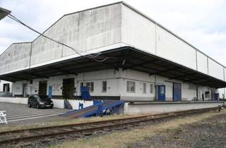 Gewerbeimmobilie mieten in Hirtenstrasse, 60327 Gutleutviertel, ab 132m² Lagerfläche in Frankfurt-Gutleutviertel zu vermieten