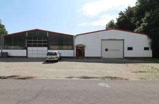 Gewerbeimmobilie mieten in 26810 Westoverledingen, Unbeheizte Lagerhalle mit ca. 3m hohen Rolltoren