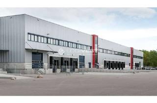 Gewerbeimmobilie mieten in 29664 Walsrode, Projektierter Neubau einer Logistikimmobilie direkt an der A27 - Walsrode