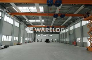 Gewerbeimmobilie mieten in 73061 Ebersbach, EBENERDIG + KRAN | TOP Hallenfläche direkt an der B10 zu vermieten!