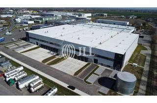 Gewerbeimmobilie mieten in 06686 Zorbau, 10.000 m² Neubau an der A9 südlich von Leipzig