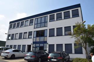 Gewerbeimmobilie kaufen in 34613 Schwalmstadt, EXKLUSIV | ca. 4.000 m² Lager-/ Logistikfläche + 500 m² Büro | kurzfristig verfügbar