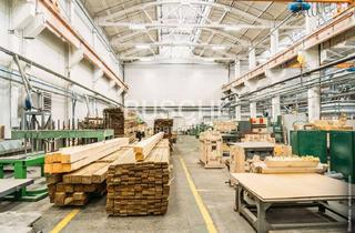 Gewerbeimmobilie mieten in 48301 Nottuln, Nottuln || 2.459 m² Hallenfläche mit 412 m² Verwaltungsgebäude || Außenfläche || ab Herbst 2026