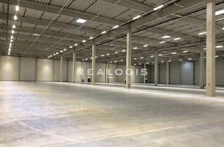 Gewerbeimmobilie mieten in 01458 Ottendorf-Okrilla, Nähe Dresden | ca. 20.000 m² Produktion & Logistik | teilbar ab 5.000 m² | Rampen