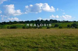 Gewerbeimmobilie mieten in 90518 Altdorf, Altdorf bei Nürnberg, ca. 2.000 m² Freifläche zu vermieten