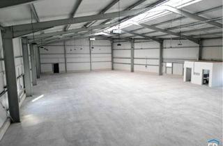 Büro zu mieten in 84085 Langquaid, Attraktive Industriehalle in Langquaid – Erstbezug zum Sonderpreis!