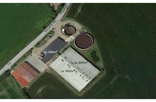 Gewerbeimmobilie mieten in 23818 Neuengörs, energieintensive Nutzung über vorhandene PV-Anlage möglich * ca. 2.000m² Hallenfläche