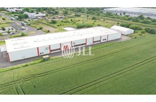 Gewerbeimmobilie mieten in 39326 Wolmirstedt, Moderne Produktionsimmobilie nördlich von Magdeburg