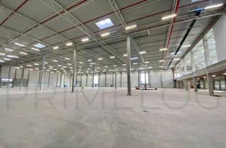 Büro zu mieten in 65779 Kelkheim, JETZT ANRUFEN | ca. 2.000 m² + ca. 450 m²Büro | 1 x ebenerdig - 2x Rampe