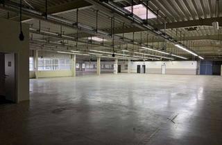 Büro zu mieten in 59757 Arnsberg, Gepflegte Gewerbehalle (Produktion/Lager) mit Büro- und Sozialräumen in Arnsberg-Neheim