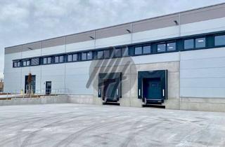 Büro zu mieten in 65843 Sulzbach, TOP-AUSSTATTUNG ✓ RAMPE + EBEN ✓ Lager (3.000 m²) & Büro (1.000 m²) zu vermieten