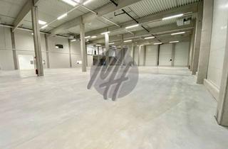 Büro zu mieten in 65843 Sulzbach, TOP-AUSSTATTUNG ✓ RAMPE + EBEN ✓ Lager (2.200 m²) & Büro (750 m²) zu vermieten