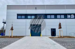 Büro zu mieten in 65835 Liederbach, TOP-AUSSTATTUNG ✓ RAMPE + EBEN ✓ Lager (2.200 m²) & Büro (750 m²) zu vermieten
