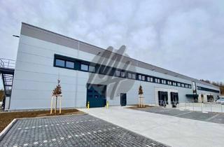 Büro zu mieten in 65824 Schwalbach, TOP-AUSSTATTUNG ✓ RAMPE + EBEN ✓ Lager (2.200 m²) & Büro (750 m²) zu vermieten