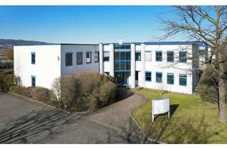 Gewerbeimmobilie kaufen in 34225 Baunatal, Top-Produktionshallen mit Büro im Gewerbegebiet Btl.Rengershausen, am Autobahnkreuz KS-West