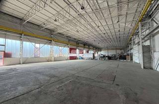 Gewerbeimmobilie mieten in 98617 Meiningen, antaris Immobilien GmbH ** Tolle 1200 m² Kaltlagefläche - teilbar ab 110 m² **
