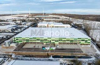 Gewerbeimmobilie mieten in 36289 Friedewald, AB SOFORT | EXKLUSIV | Keine Provision | Erstbezug | ca. 20.000 m² Neubau | teilbar ab 10.000 m²