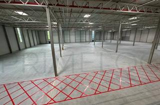 Gewerbeimmobilie mieten in 64589 Stockstadt, Neubauprojektierung | ca. 3.400 m² Lager-/ Logistikfläche | ebenerdig