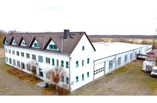 Gewerbeimmobilie kaufen in 38229 Calbecht, Produktionshalle mit Bürogebäude & Freifläche im Gewerbegebiet SZ-Gebhardshagen-Calbecht