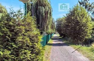 Grundstück zu kaufen in 06808 Bitterfeld-Wolfen, Großes Grundstück in Holzweissig 3700qm – nahe dem Bitterfelder Bogen/Stadion