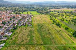 Grundstück zu kaufen in 76461 Muggensturm, Schaffen Sie sich Ihr neues Zuhause. Baugrundstück im Muggensturm!