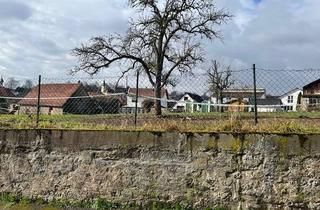 Grundstück zu kaufen in 76646 Bruchsal, Großes Baugrundstück im Ortskern....