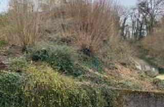 Grundstück zu kaufen in 69469 Weinheim, Weinheim, Baugrundstück in Hanglage am Wachenberg