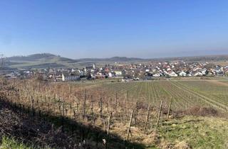 Grundstück zu kaufen in 79361 Sasbach, Landwirtschaftsfläche über den Dächern von Jechtingen!