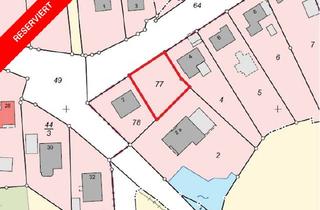 Grundstück zu kaufen in 21493 Basthorst, Einzigartiges Baugrundstück in Basthorst – Ihr privates Hideaway im Grünen
