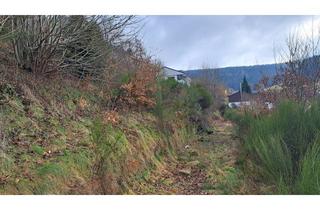 Grundstück zu kaufen in 72270 Baiersbronn, Sonniges Hanggrundstück zentral in Baiersbronn