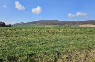 Grundstück zu kaufen in Kurze Rott, 37589 Kalefeld, Vor den Thranen II