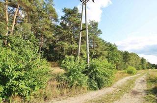 Grundstück zu kaufen in 38524 Sassenburg, 21.429 m² Bauerwartungsland in Grußendorf nahe Gifhorn! Mein Grundstück = Mein Makler!