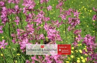 Grundstück zu kaufen in 36355 Grebenhain, Feldrandgrundstück mit extra Wiesengrundstückstraum in Grebenhain-Hartmannshain