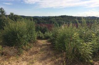 Grundstück zu kaufen in 51789 Lindlar, Ohne Grunderwerbsteuer und Courtage! Ruhig gelegener Bauplatz am Wald, im Grünen