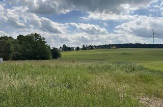Grundstück zu kaufen in 08468 Reichenbach, Hier wollen wir bauen!