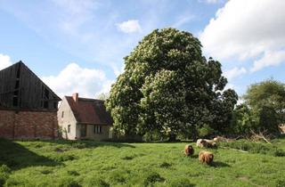 Grundstück zu kaufen in Neurüdnitz 25, 16259 Oderaue, Kastanienhof im Oderbruch - Ort zum Leben, Wohnen und Arbeiten oder einfach nur ein Stück Bauland