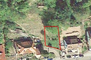 Grundstück zu kaufen in 75305 Neuenbürg, Südhang mit Schlossblick