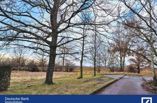 Grundstück zu kaufen in 06369 Libehna, Exklusiv-Grundstück mit Wendeschleife